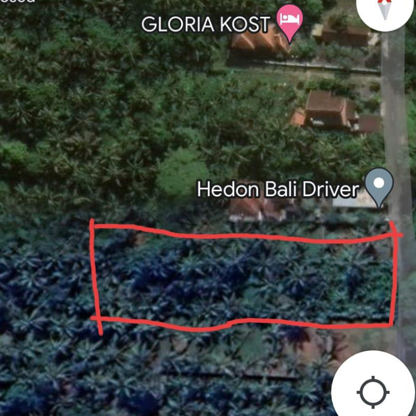 1470m2 Are Land For Lease of 25 Years Near Ubud